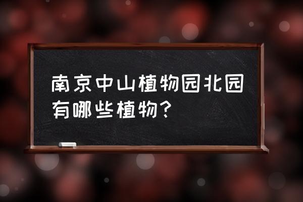 中山植物园免费预约 南京中山植物园北园有哪些植物? 中山植物园免费预约 南京中山植物园北园有哪些植物?